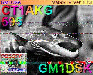 SSTV 19/07/2021 - Imagem 8